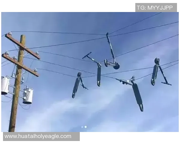 上海滑板队实力深度对比分析揭示各队优势与潜力