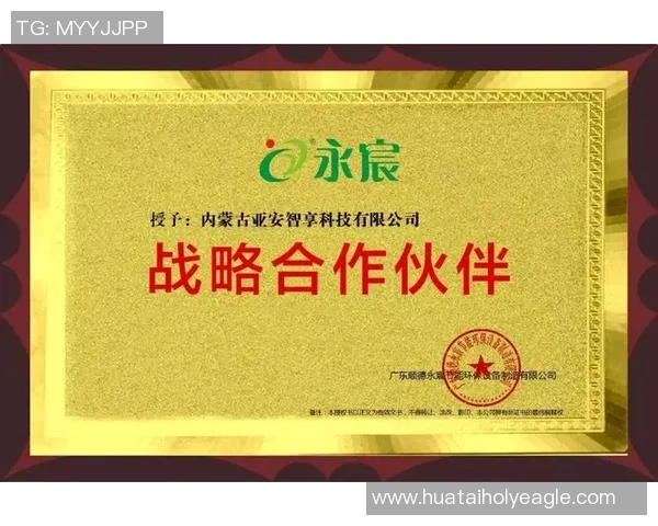 热爱大兴足球俱乐部共同见证荣耀时刻携手前行共创辉煌未来